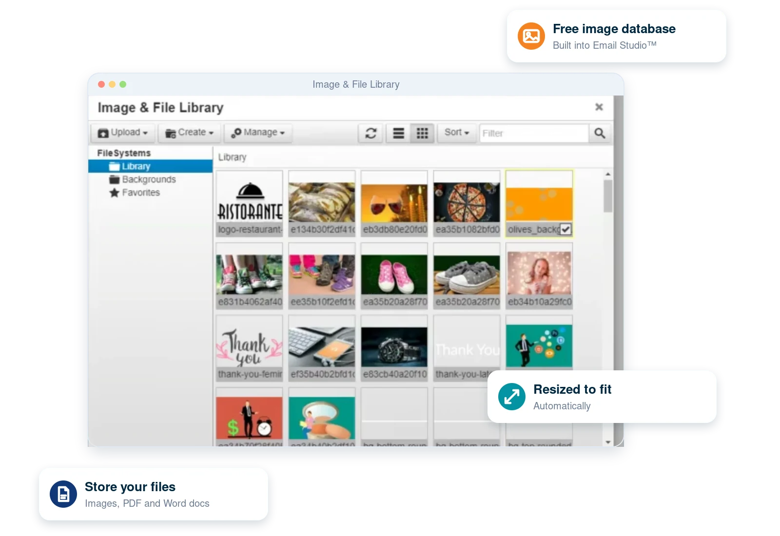 Features: image library FireDrum Image and File Library inside Email Studio